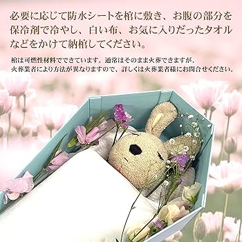 Amazon | TAIL CUTE ペット 葬儀 ひつぎ 棺 ペット用棺 ペット棺